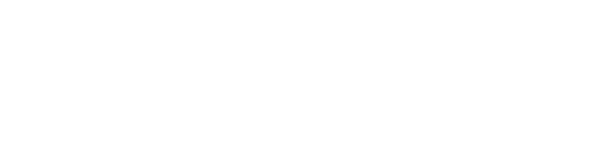 Abu Dhabi Experience